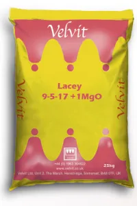 Velvit Lacey 9-5-17 +1MgO