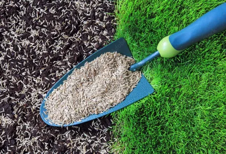 Okrasné a Golfové směsi