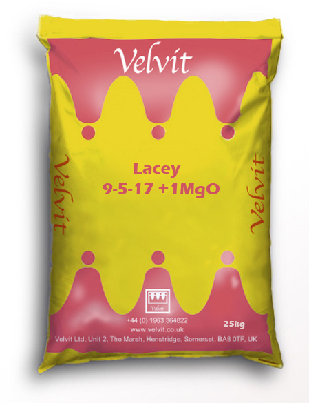 Velvit Lacey 9-5-17 +1MgO